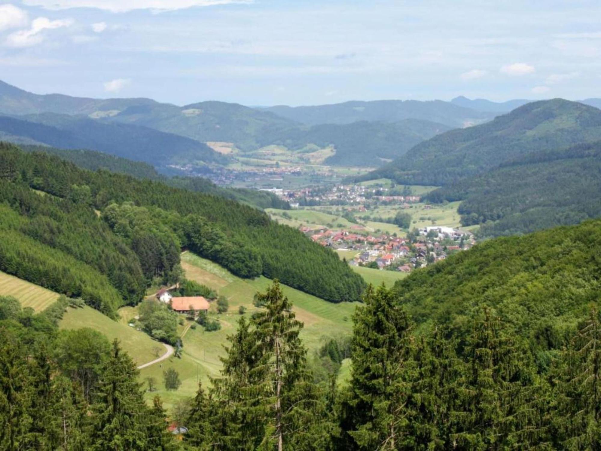 Lovely Apartment In The Black Forest Villingen-Schwenningen Dış mekan fotoğraf