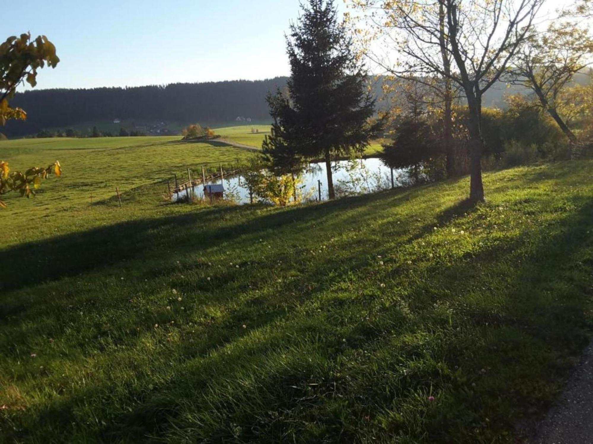 Lovely Apartment In The Black Forest Villingen-Schwenningen Dış mekan fotoğraf