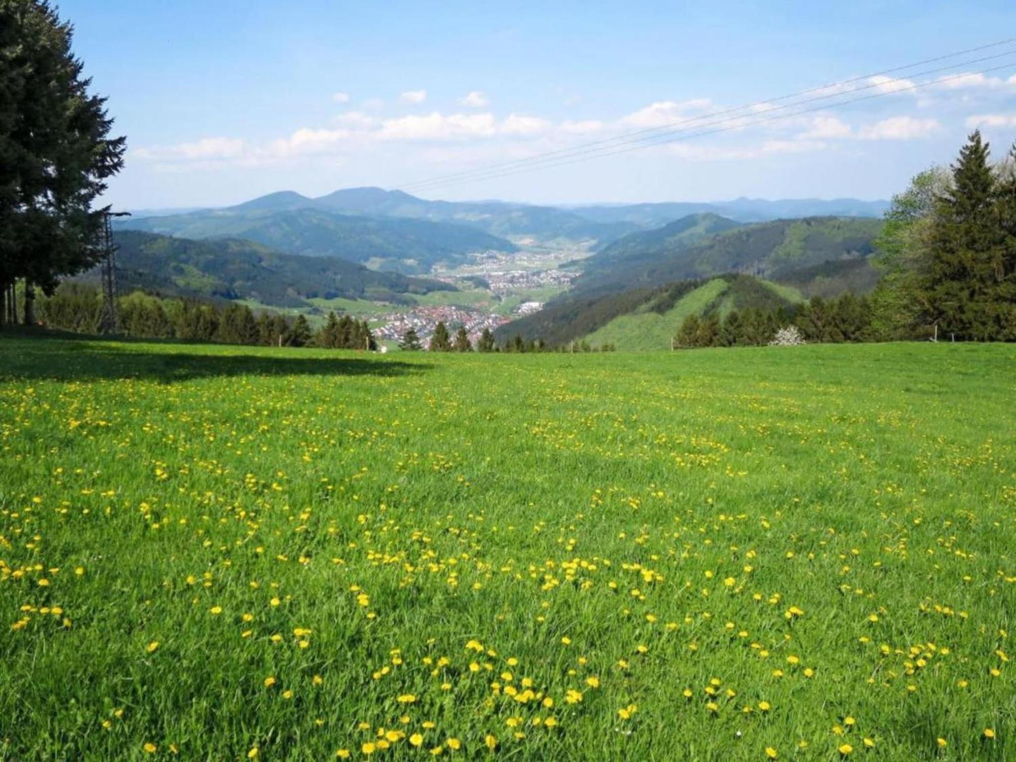 Lovely Apartment In The Black Forest Villingen-Schwenningen Dış mekan fotoğraf