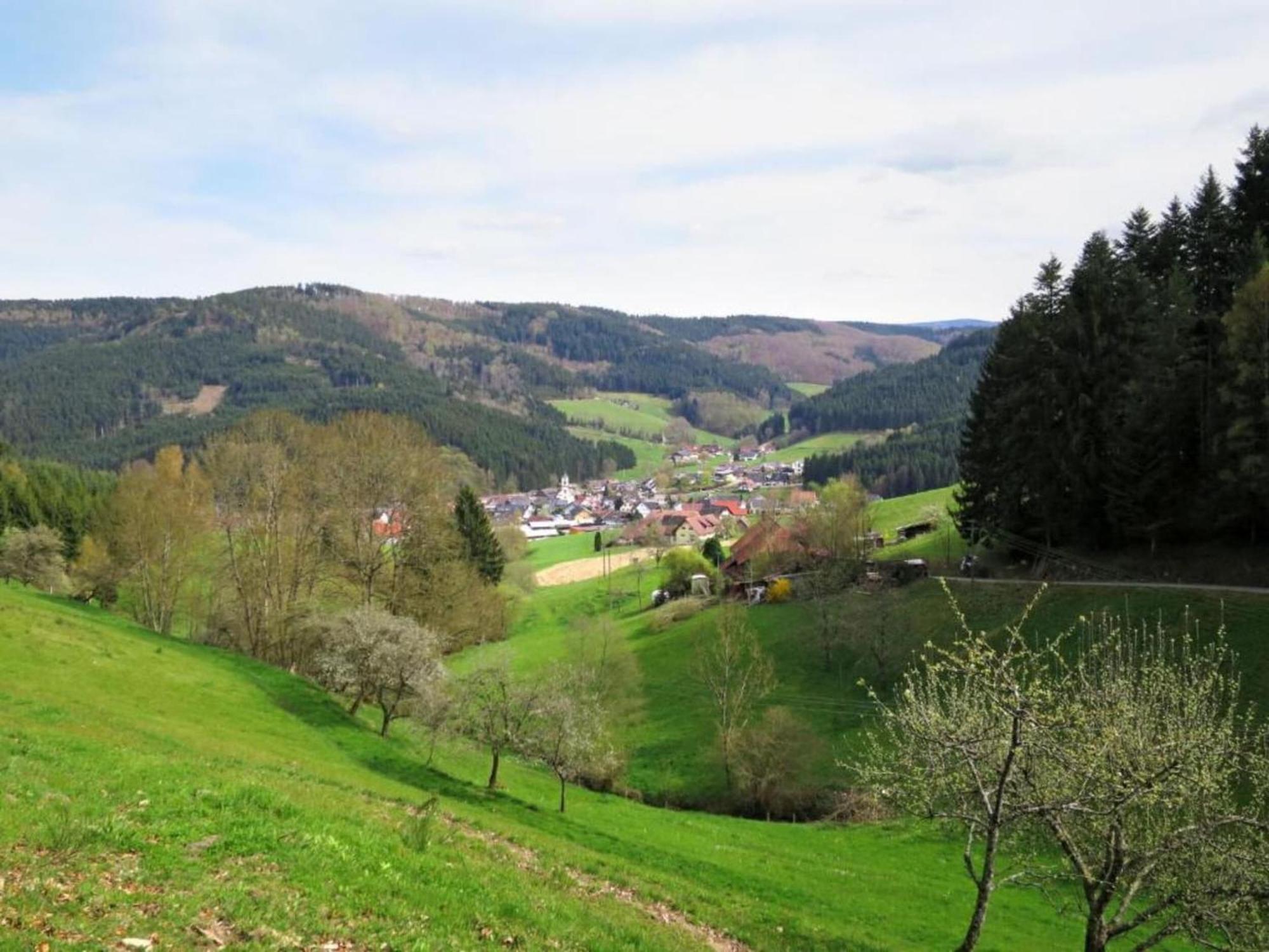 Lovely Apartment In The Black Forest Villingen-Schwenningen Dış mekan fotoğraf