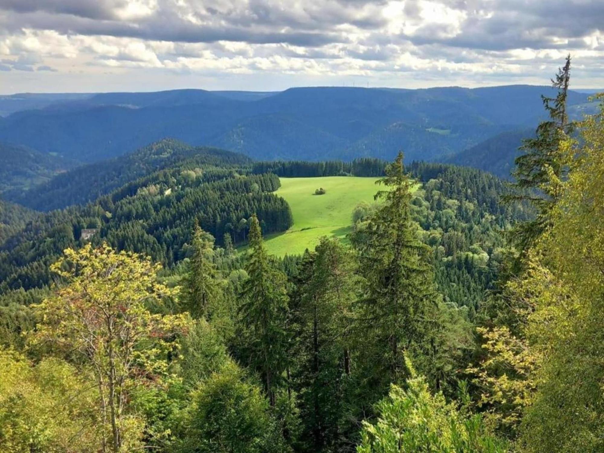 Lovely Apartment In The Black Forest Villingen-Schwenningen Dış mekan fotoğraf